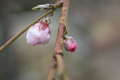 076